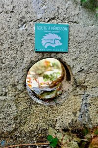 Opération Piqu'en ville.